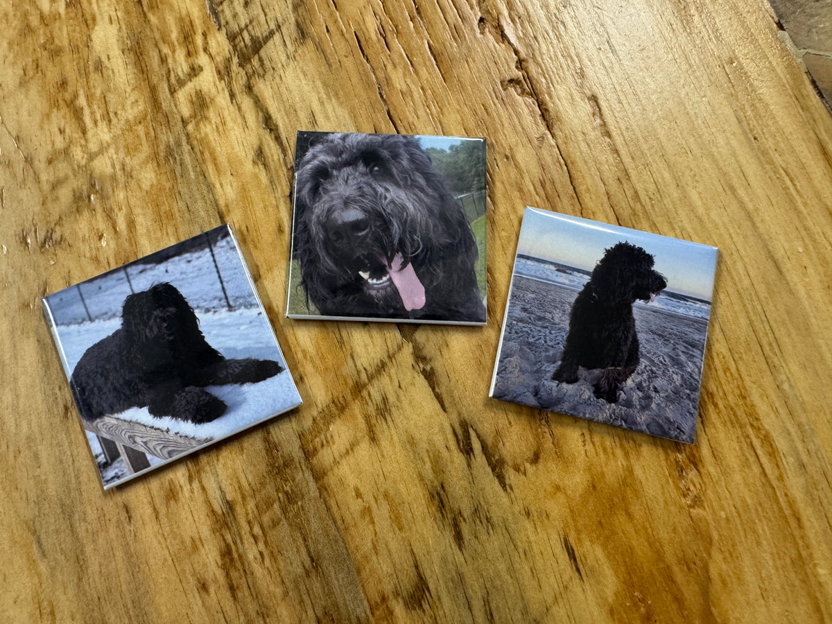 2x2 Fridge Magnets