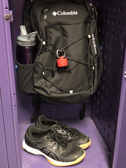 Lion Latch Jewelry/Pill Tote