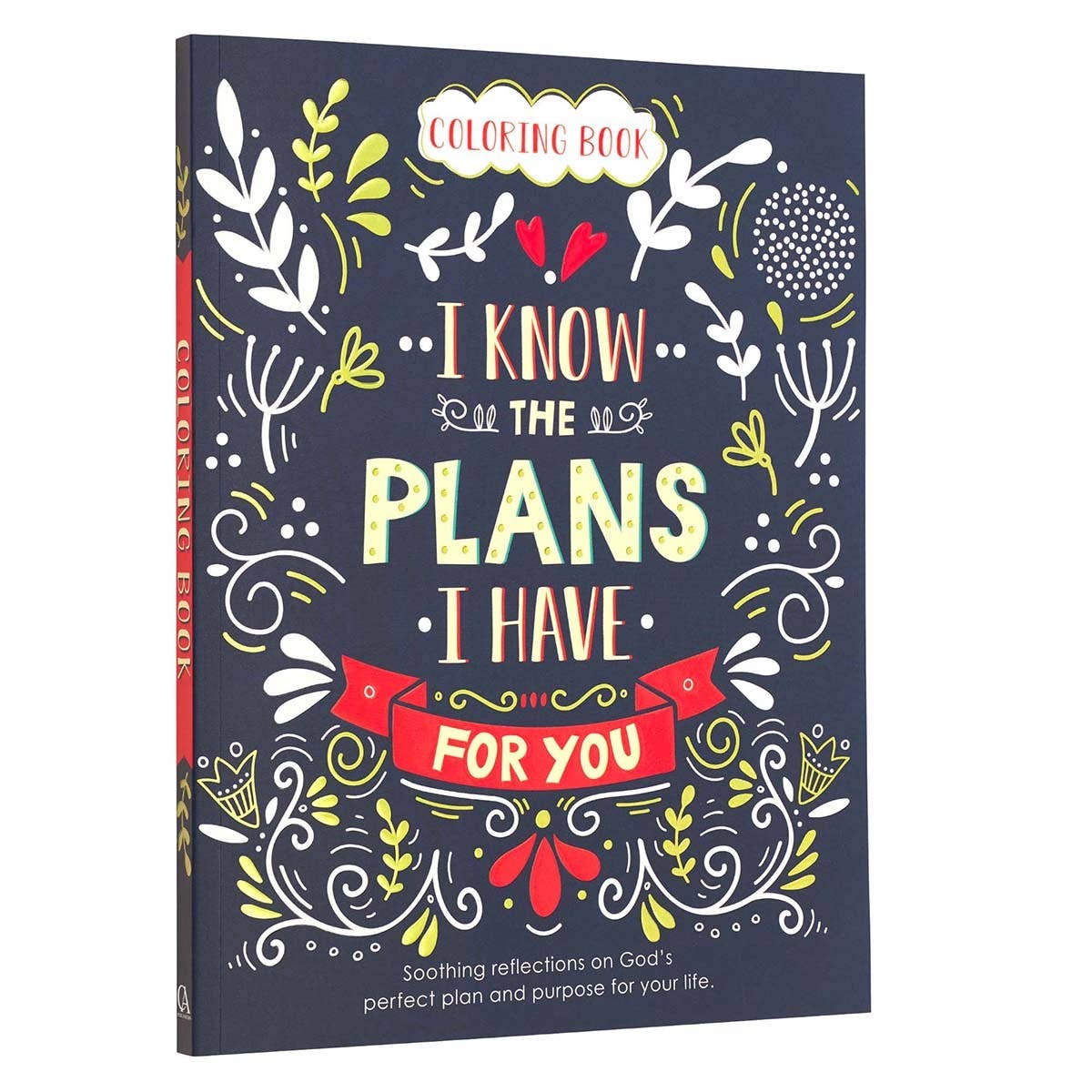 I Know the Plans