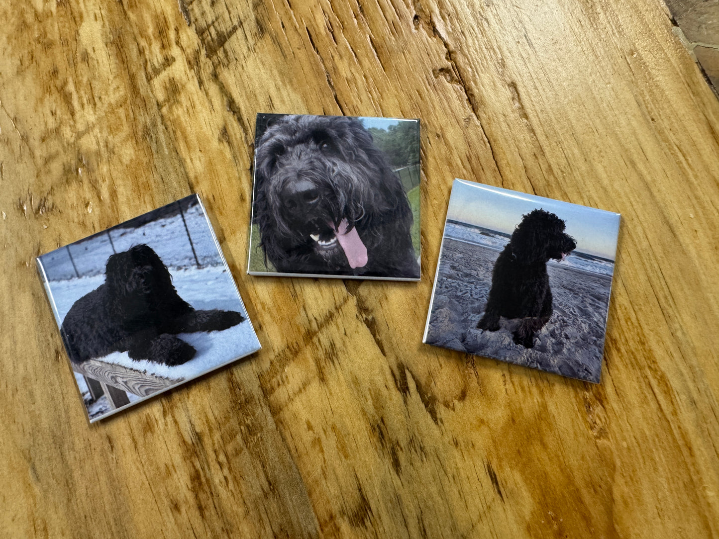 2x2 Fridge Magnets