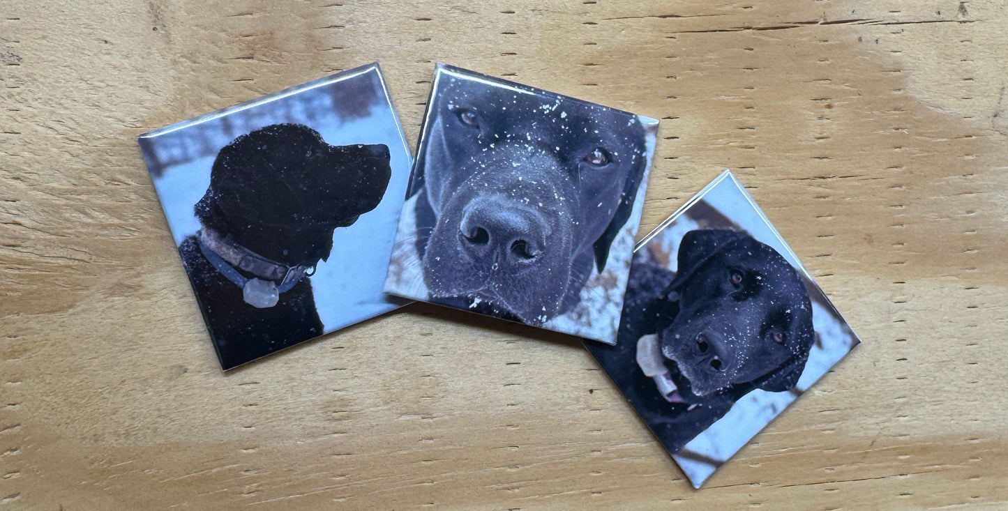 2x2 Fridge Magnets