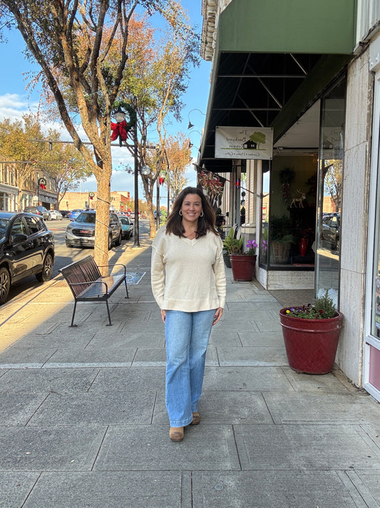 The Aspen V Neck Sweater