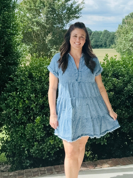 The Kimberly Denim Dress