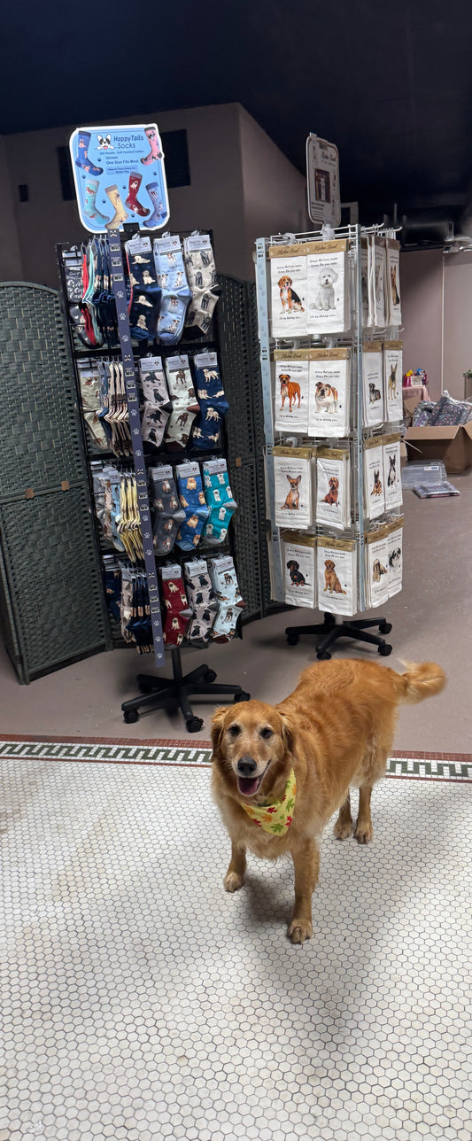 Pet Tea Towel Collection